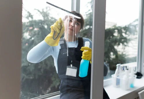 Nettoyage de vitres intérieures et extérieures à Chalandray